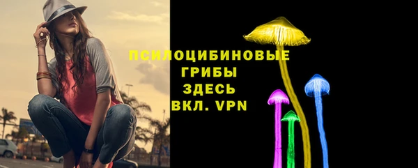 ECSTASY Козельск