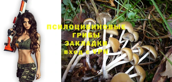 а пвп мука Богданович