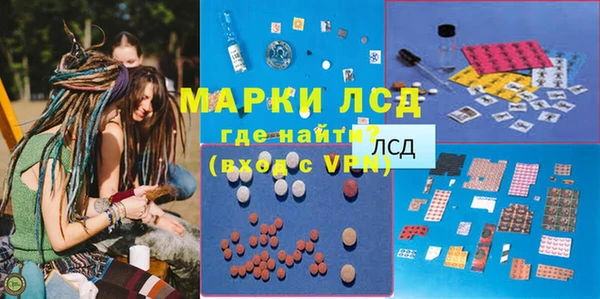 тгк Шали
