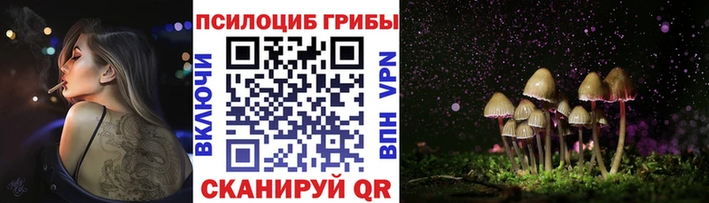 Псилоцибиновые грибы MAGIC MUSHROOMS  Сызрань 