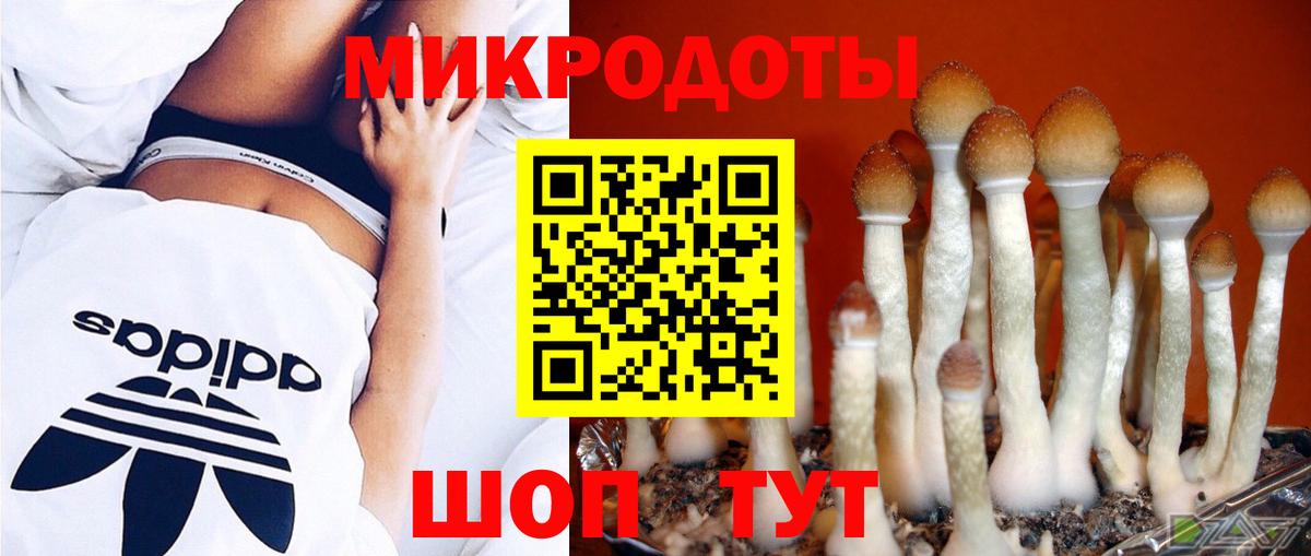 Сызрань  Галлюциногенные грибы GOLDEN TEACHER  Псилоцибиновые грибы MAGIC MUSHROOMS  Вход с VPN 